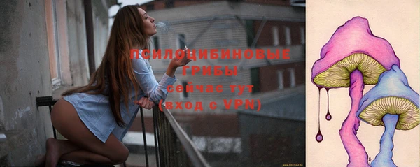 крисы Нея