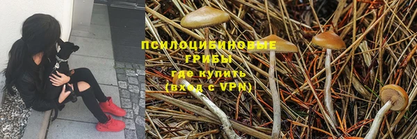 стафф Нефтекумск