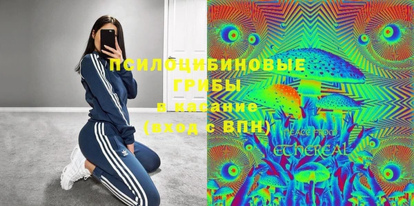 крисы Нея