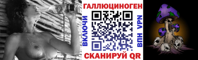 дарнет шоп  ОМГ ОМГ маркетплейс  Галлюциногенные грибы MAGIC MUSHROOMS  Чекалин 